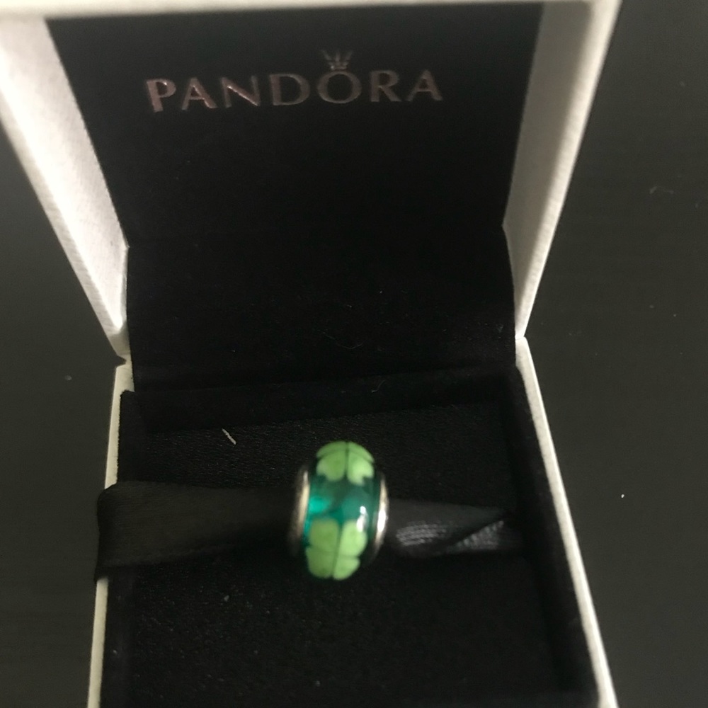 Authentic Retired Pandora Charm